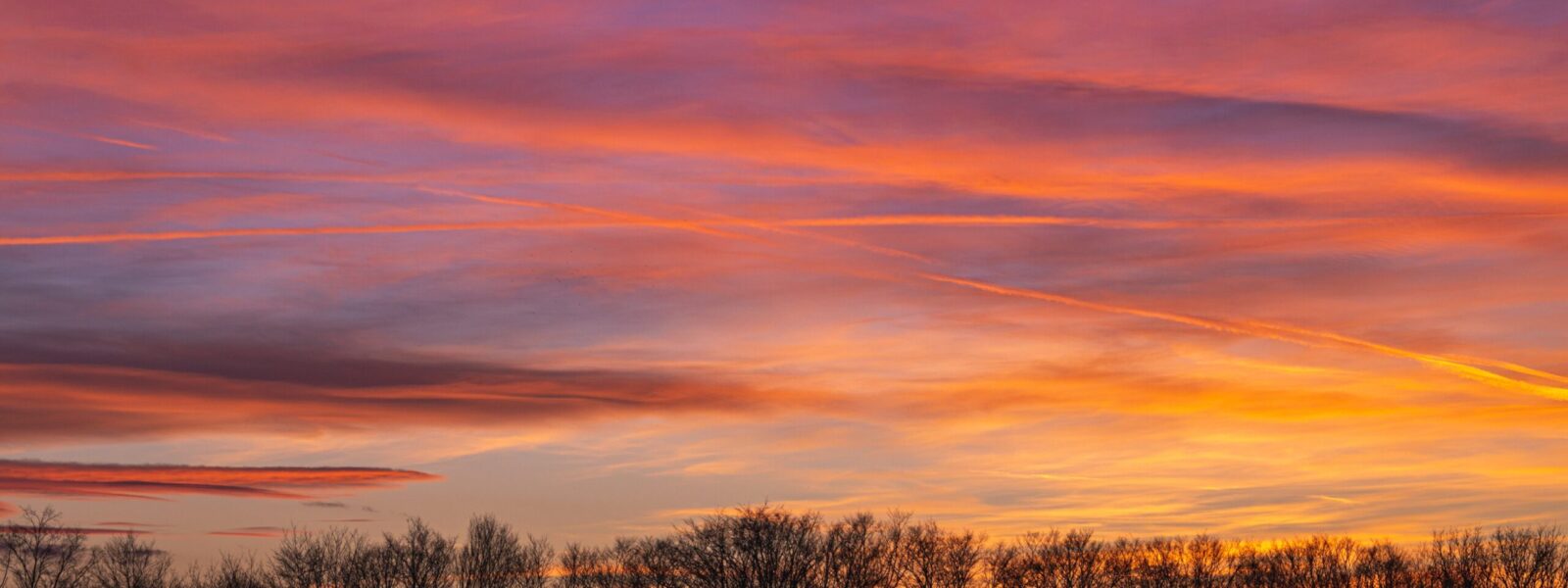 A landscape of tree silhouettes under a cloudy sky during a beautiful pink sunset